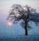 Mist, couvert Mist, couvert